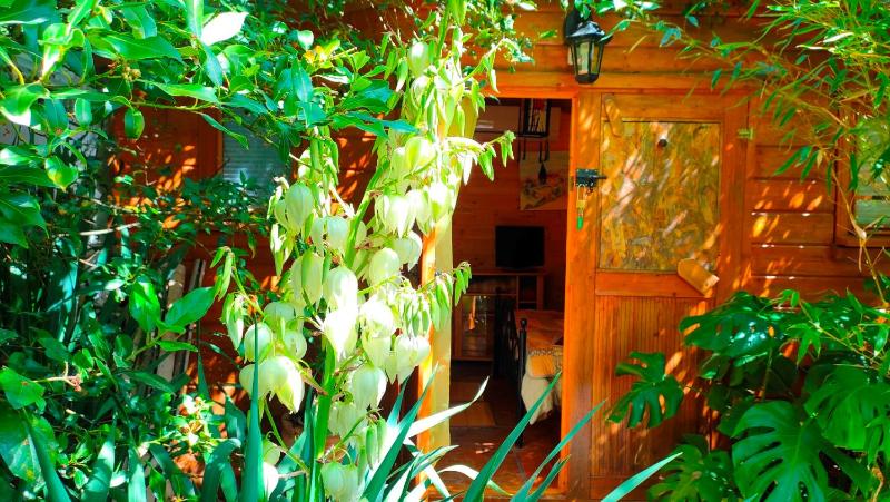Double Room with Garden View image 3