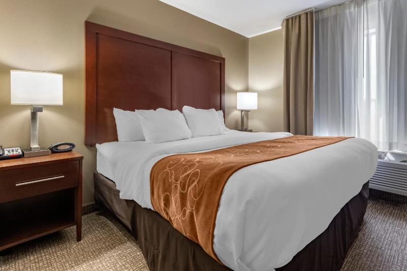 Efficiency King Suite - Accessible/Non-Smoking image 2