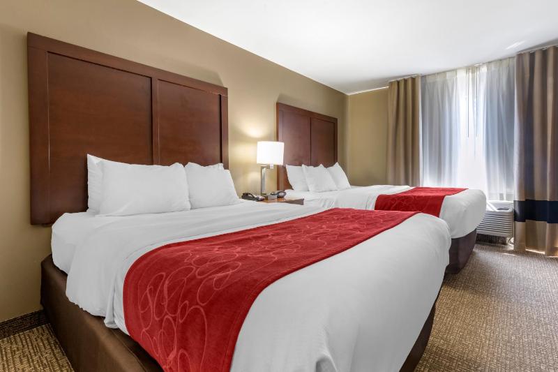 Queen Suite image 2