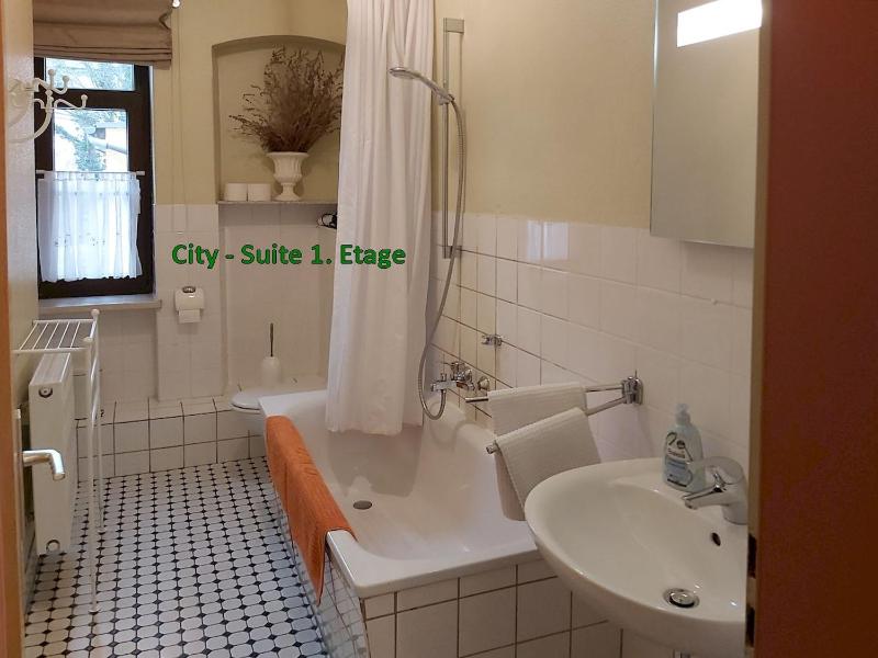 City-Ferienwohnungen-Dresden - zentral gelegen im Haus Louisenstrasse 11 - Dresden-Neustadt - image 6