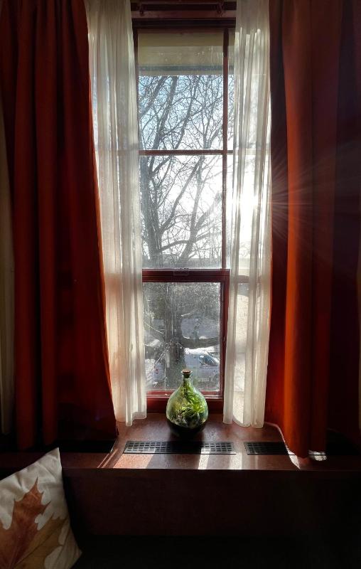 Standard Double Room image 3