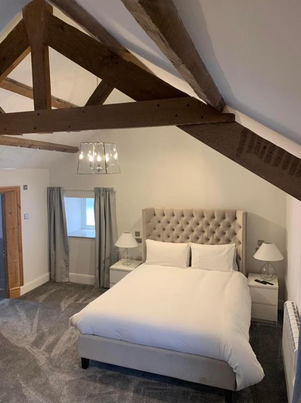 Family Room with Private Bathroom image 4