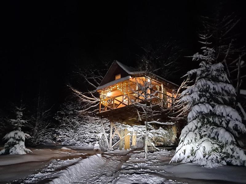 Holiday Home image 3