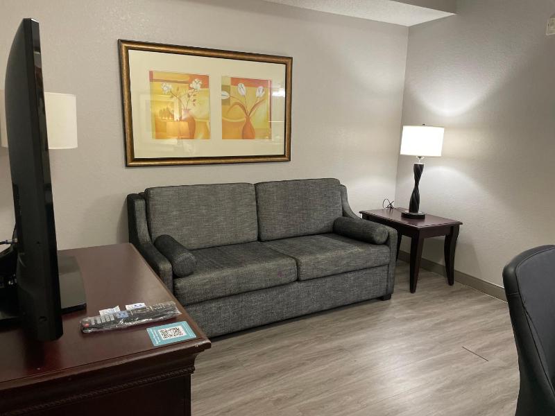 King Studio Suite with Sofa Bed - Non-Smoking image 2