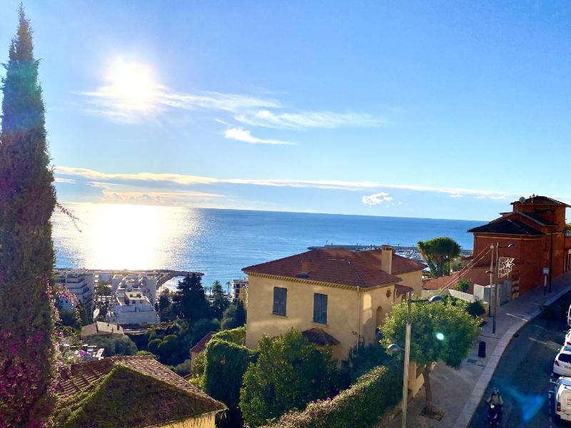 Le Vigia-vue mer-terrasse-climatisation-parking - image 13