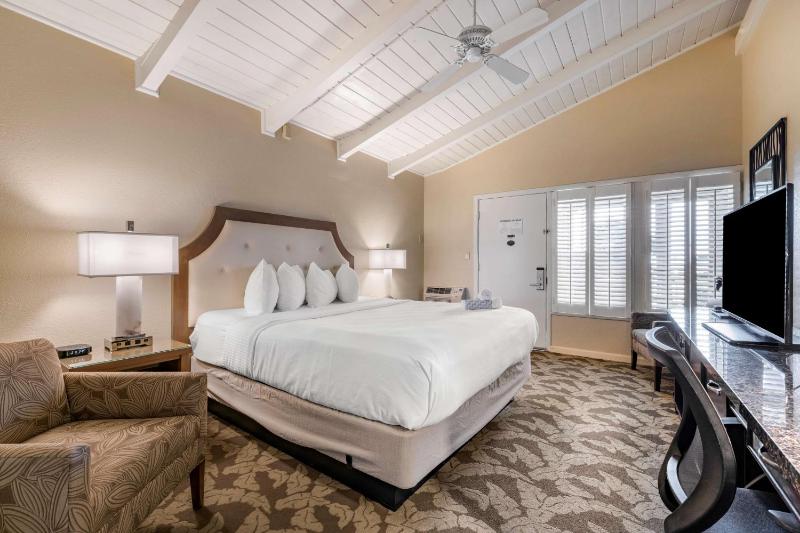 Standard King Room image 4