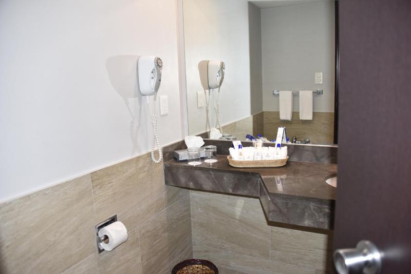 Hotel Royal Reforma - image 22