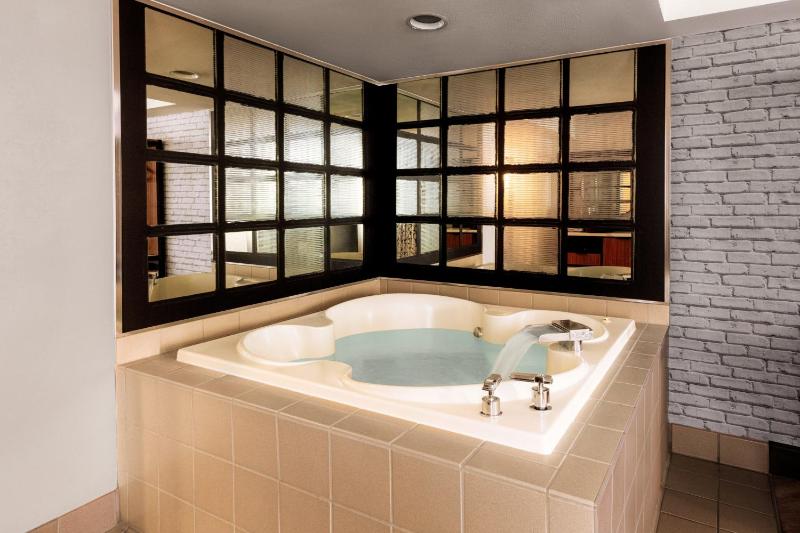 Spa Suite image 3