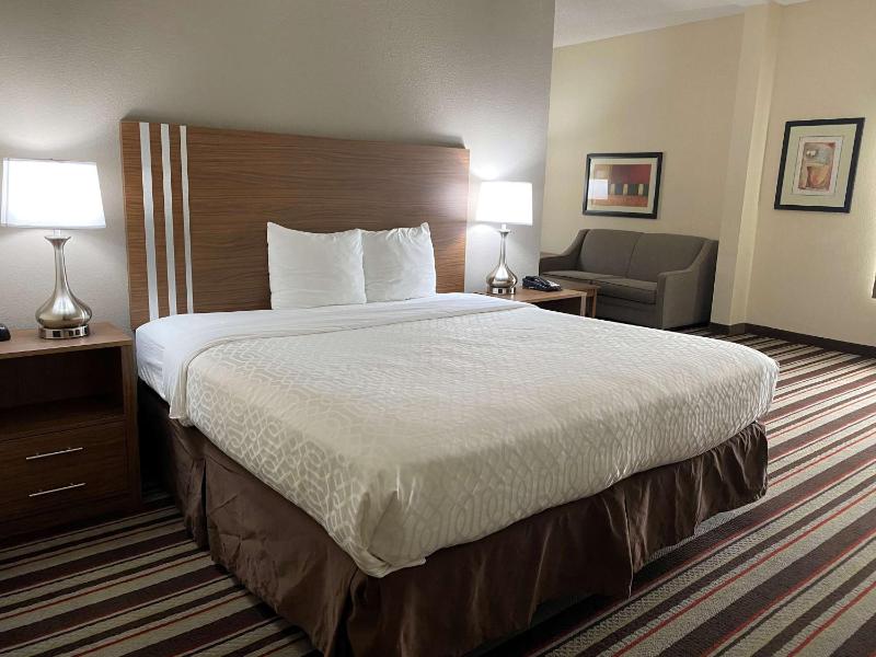 King Suite - Non-Smoking image 1