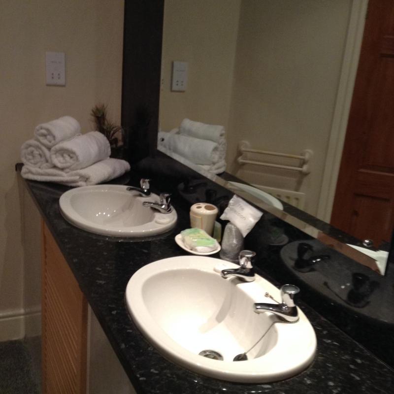 Deluxe Suite image 4