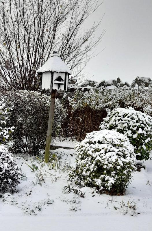 Family Room (2 Adults + 2 Children) image 4