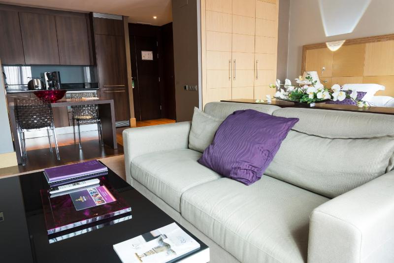 Premium Suite image 2