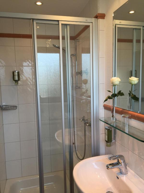 Standard Single Room image 3