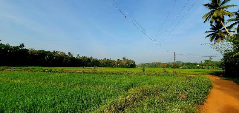 Villa Tamarind Shade - Talalla - image 9