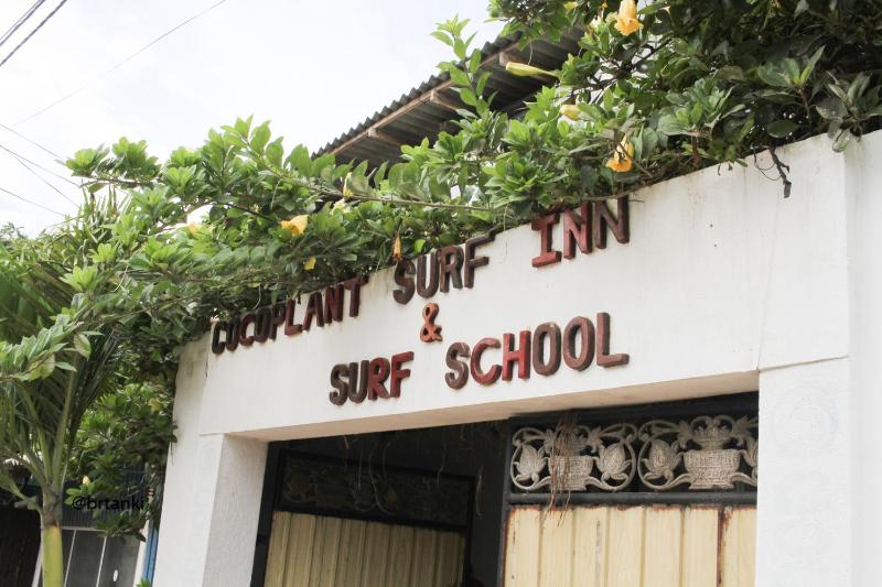 Cocoplant Surf Inn - image 10