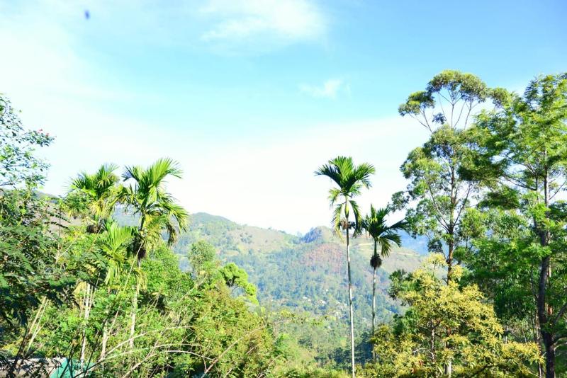 Ella 99A Resort - image 29