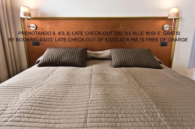 Superior Double or Twin Room image 2