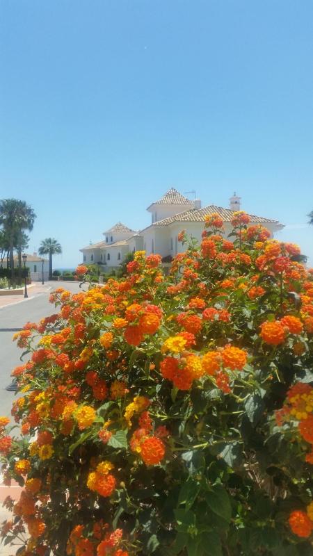 2147-Beautiful 2 bedrooms with sea view - image 33