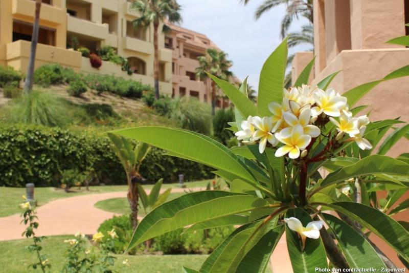 2147-Beautiful 2 bedrooms with sea view - image 2