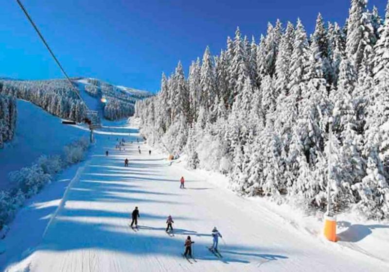 Boutique lux design apartment @Bansko Royal Towers - image 21