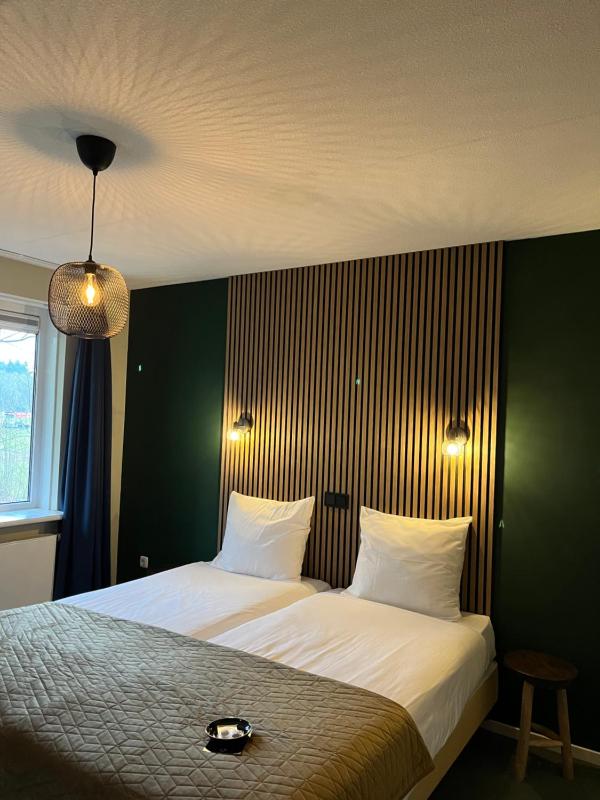 Standard Twin Room  image 3