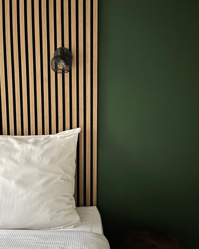 Standard Twin Room  image 4