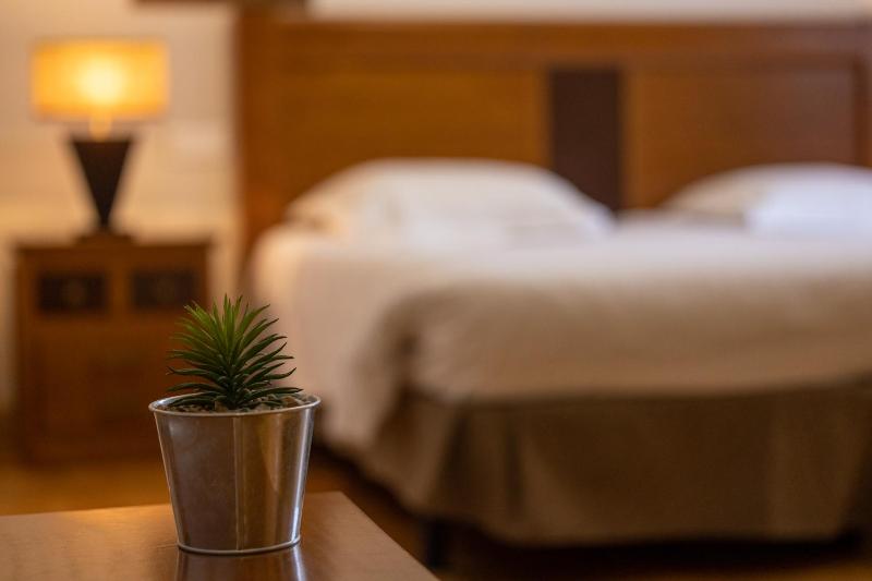 Superior Double Room image 2