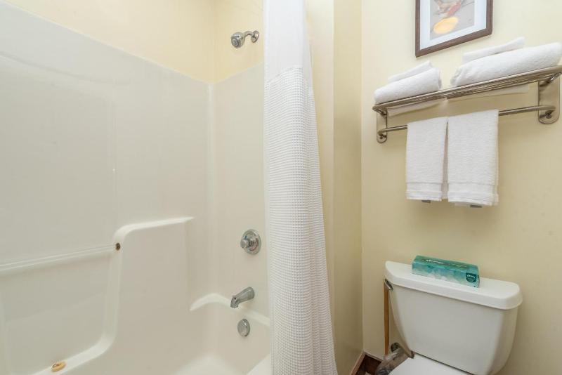 A119 Studio Lake View - image 8