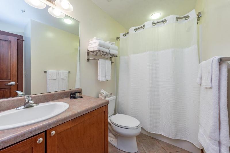 A307 One Bedroom & Loft Lake View - image 3
