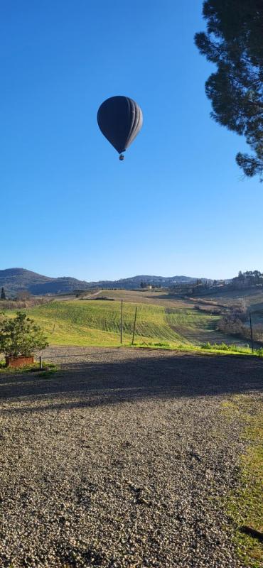 Double Room with Garden View image 2