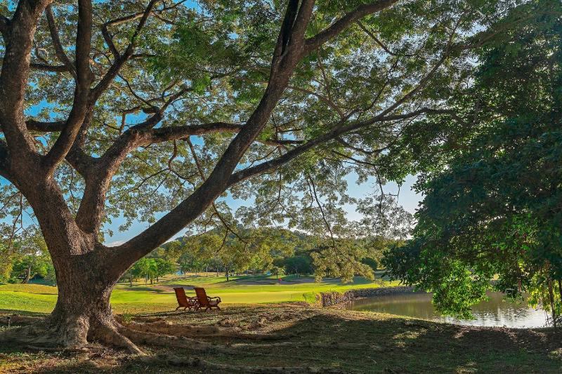 The Westin Reserva Conchal an All-Inclusive Golf Resort & Spa - image 15