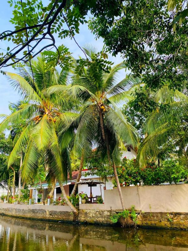 The River Villa - image 6