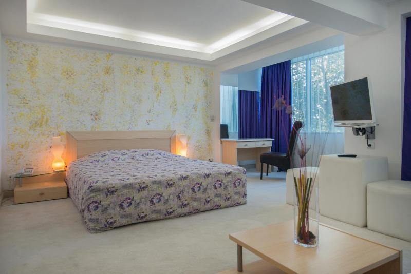 Superior Double or Twin Room image 4