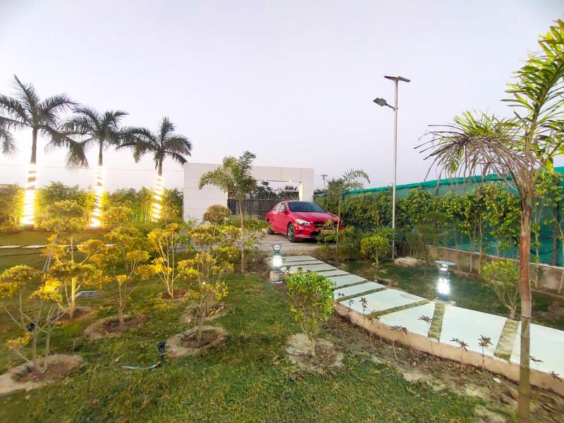 Shaw Estate- Near Expo Mart Mehra Farm - image 48