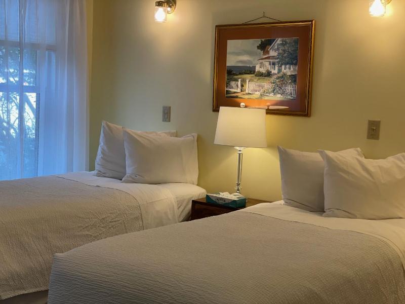 Double or Twin Room image 3