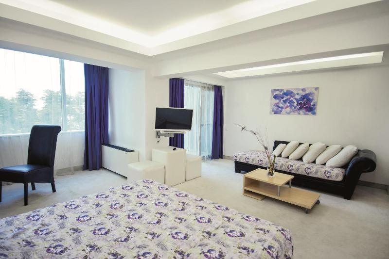 Superior Double or Twin Room image 1