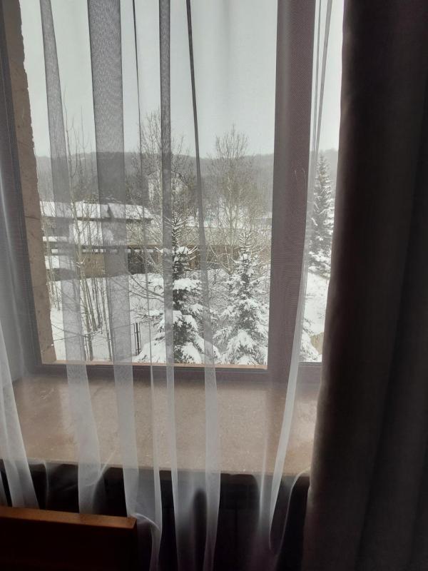 Deluxe Twin Room image 1