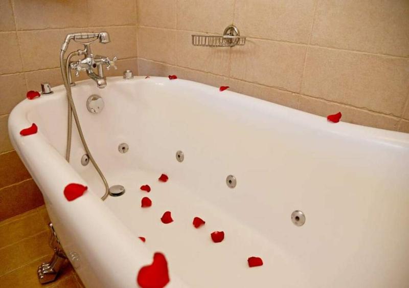 Deluxe Suite image 2