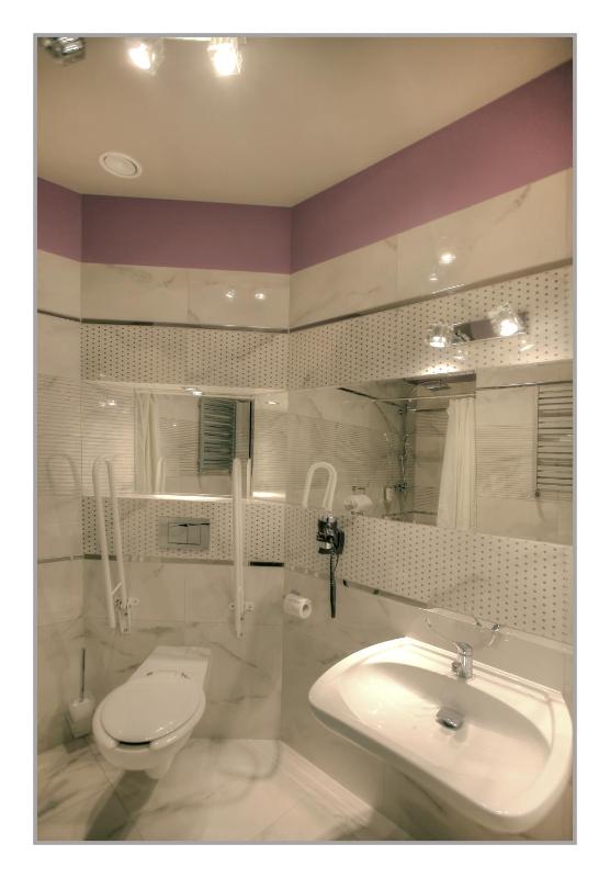Single Room - Disability Access image 3