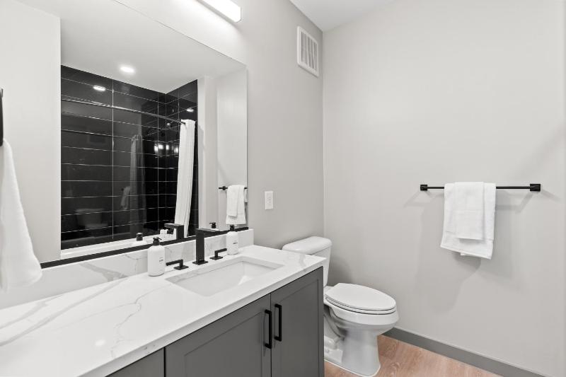 One Bedroom Apartment image 1