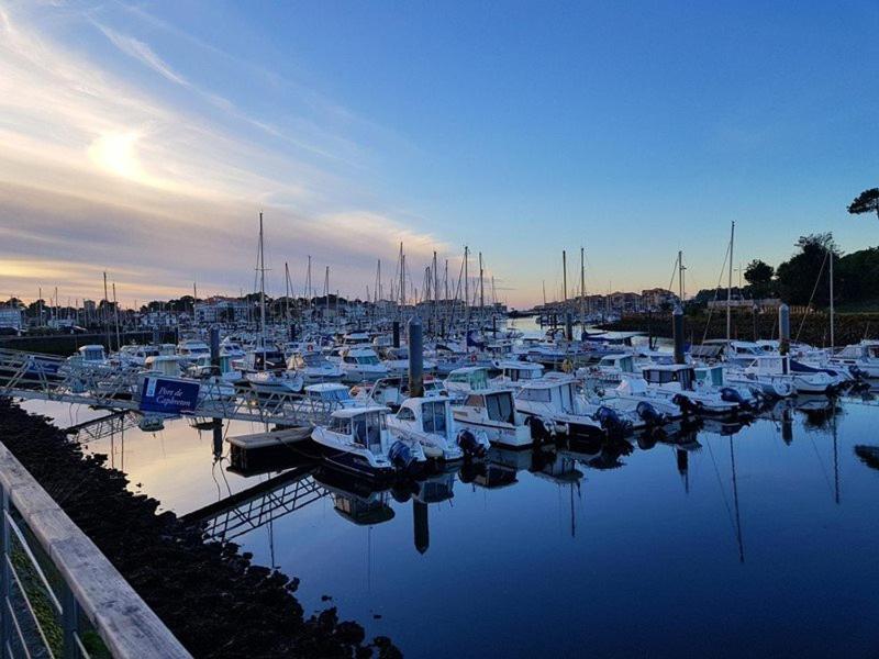 Appartement avec terrasse parking et vue sur port à Capbreton - image 2