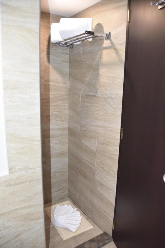 Hotel Royal Reforma - image 13