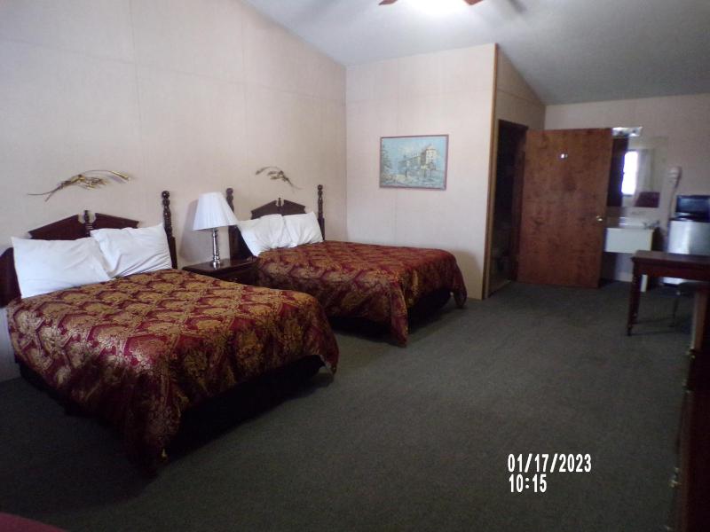 Deluxe Double Room image 1