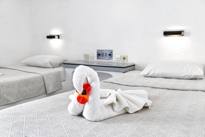 Hotel Iro - image 23