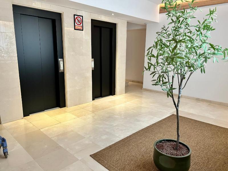 One-Bedroom Apartment - Penthouse  image 2