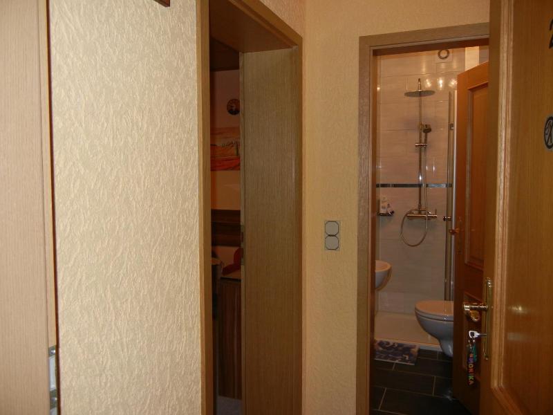 One-Bedroom Apartment image 4