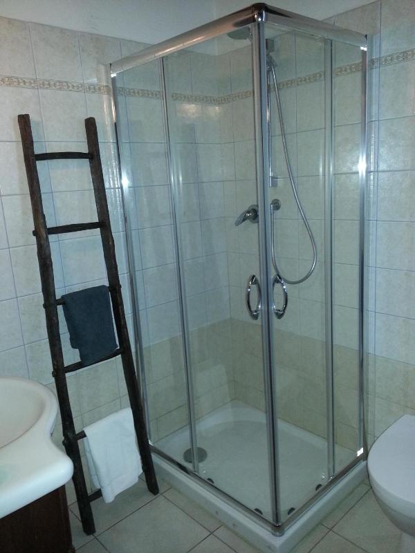 One-Bedroom Apartment image 4