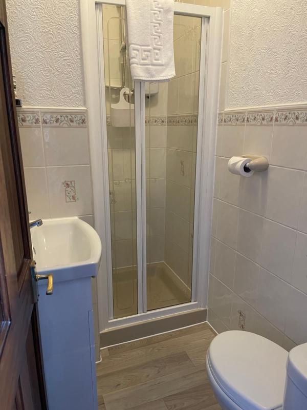 Deluxe Double Room image 3