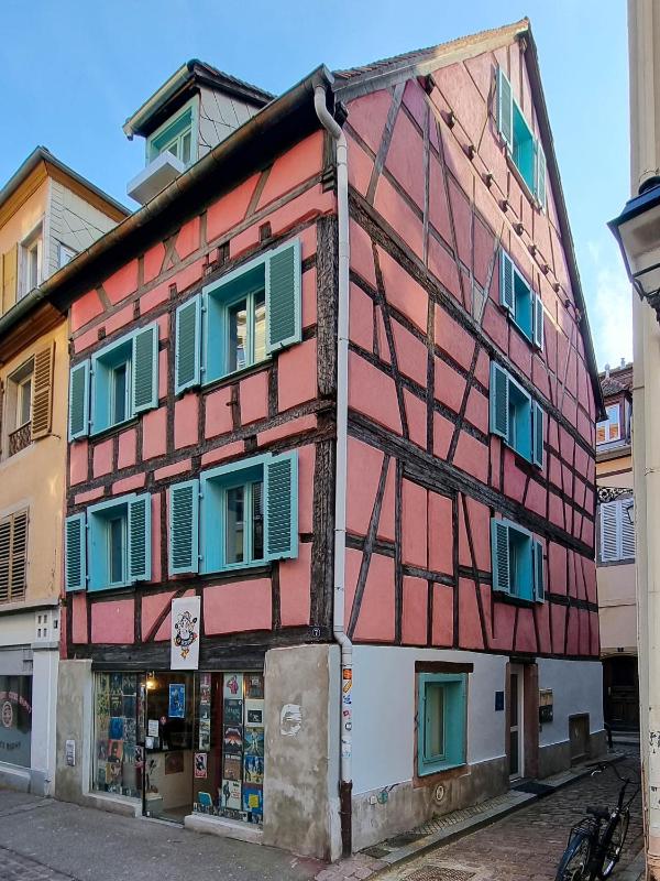 Travel Homes - NewGate 1 elegant heart of Colmar - image 3