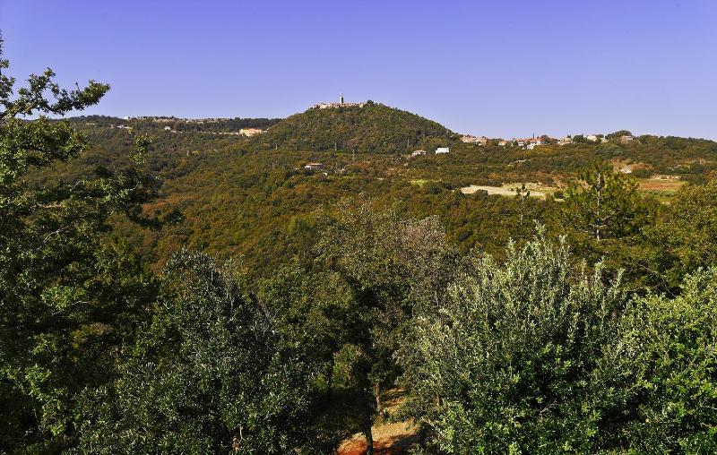 Villa Vires - image 23